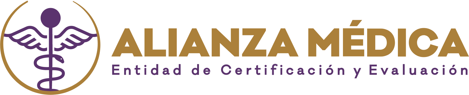 Logo Alianza Médica Entidad de Certificación y Evaluación (ECE) que se encuentra acreditada por el Consejo Nacional de Normalización y Certificación de Competencias Laborales (CONOCER)